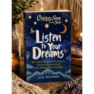 Chicken Soup Listen to Your Dreams Book by Amy Newmark Blue